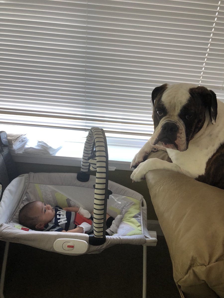 attackmanscottg's tweet image. Have A New Babysitter!!!