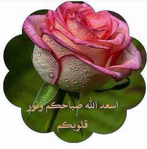 WNaserawis's tweet photo. @efvn3344 https://t.co/6qDLLdLJw8