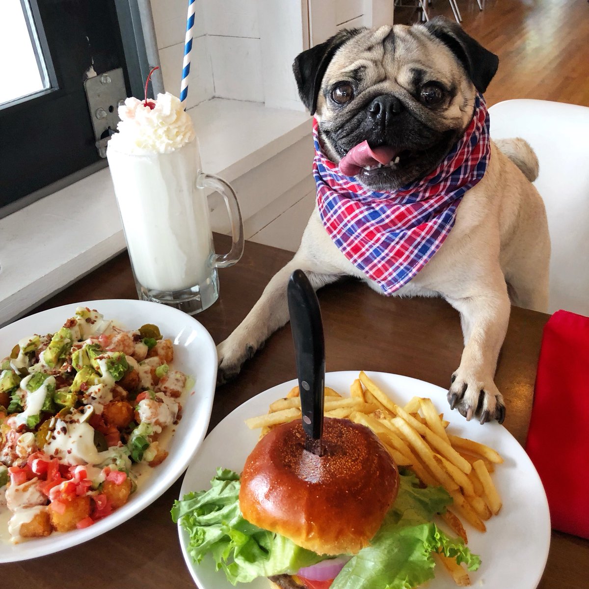 itsdougthepug's tweet photo. Give me one of everything, please https://t.co/vzUAanDmSb