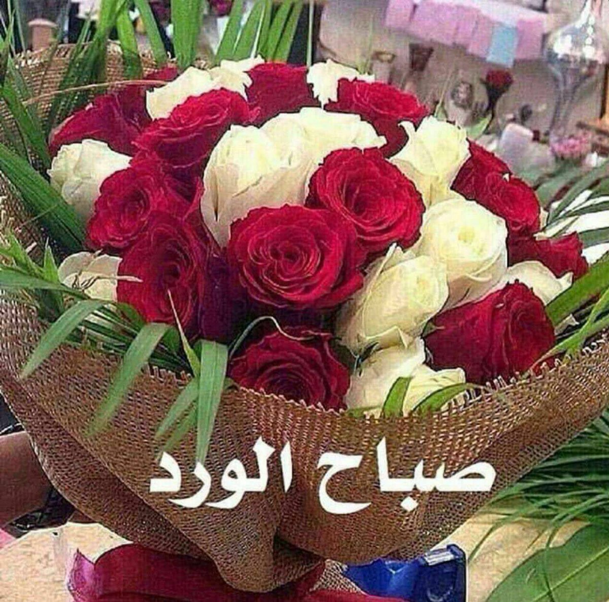 WNaserawis's tweet photo. @MaraaamMerry https://t.co/Xnum3HGM38
