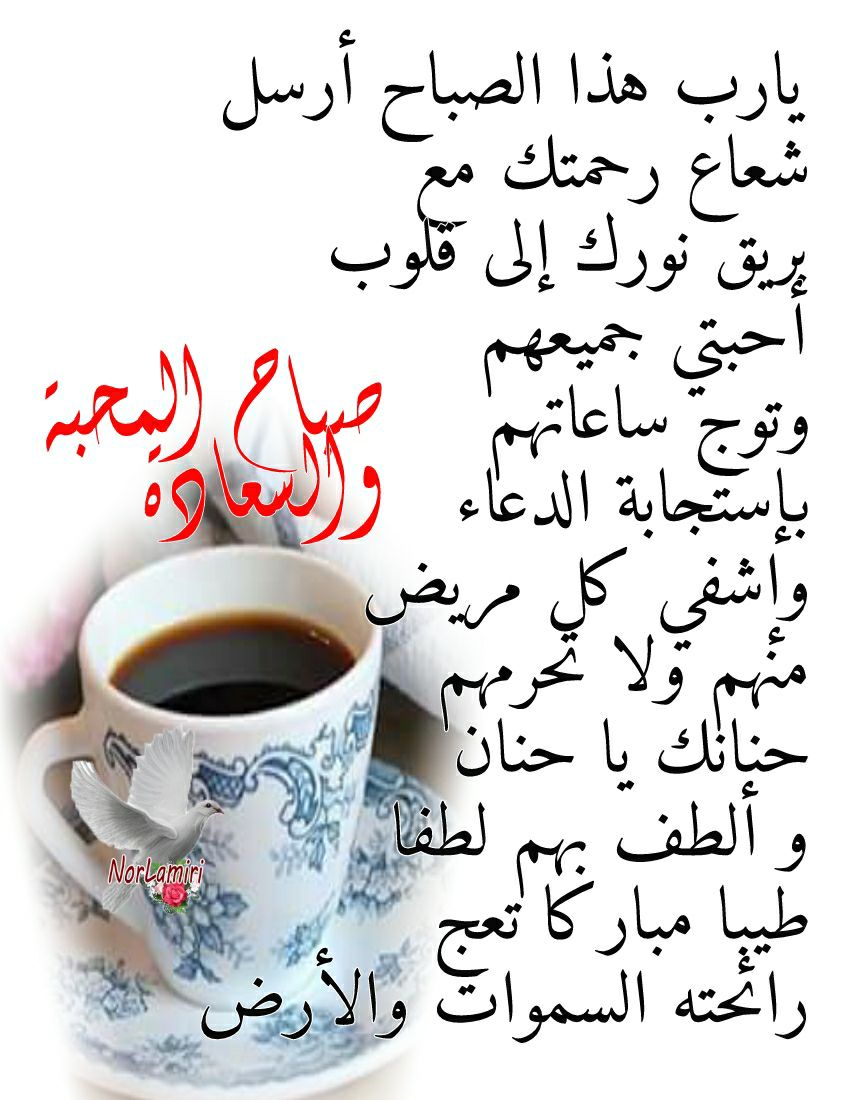 WNaserawis's tweet photo. @MaraaamMerry https://t.co/Xnum3HGM38