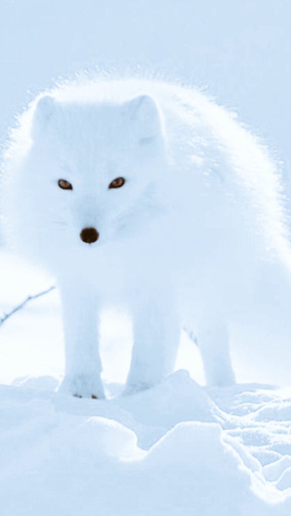 .......       RADIO FUTURA       ........
  la estatua del jardín botánico
.... entre el sol ....y mi corazón....
youtu.be/Jtjz93M-GBQ