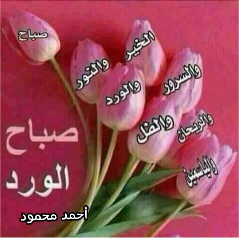 WNaserawis's tweet photo. @masal7sh https://t.co/eHrAVS6bho