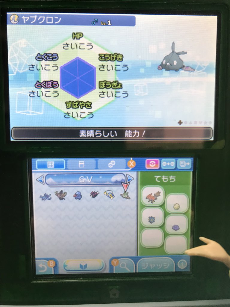 ポケモン6v記録 Twitter