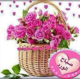 WNaserawis's tweet photo. @marwabousba_ https://t.co/5BkUEv26Hx