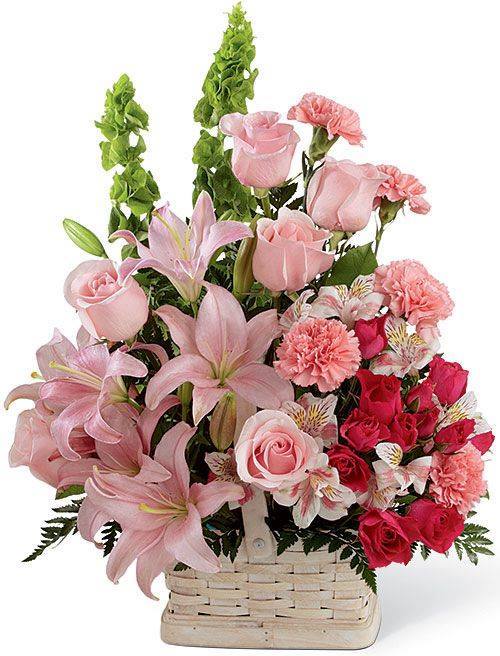 WNaserawis's tweet photo. @yaraali69936755 https://t.co/IJGFrvJcA5