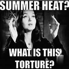 VVVamp's tweet photo. Það er svo fokking heitt úti!  #46C #115F https://t.co/E9Zy0tF2eM