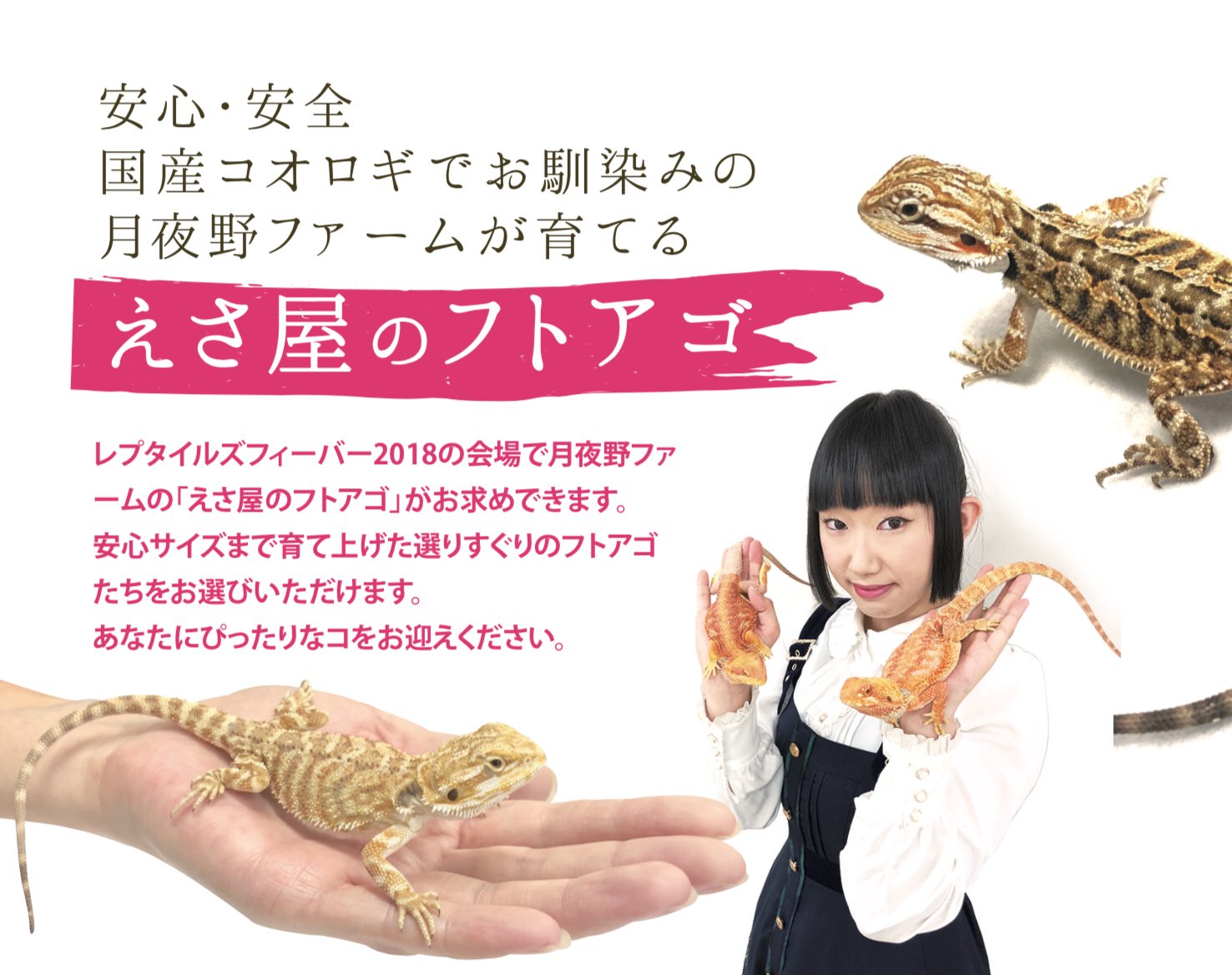 有 月夜野ファーム オフィシャル レプタイルズフィーバー18 開場30分前ですね 今回もたくさんの活コオロギ ドライフード各種 サプリメントと えさ屋のフトアゴ を揃えてお待ちしてます 是非 月夜野ファームブースまでお越し下さい T