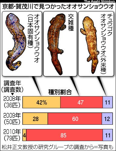 ShishioMukuro @73TaOH4 本来は純血統だったんですけどね。このグラフ