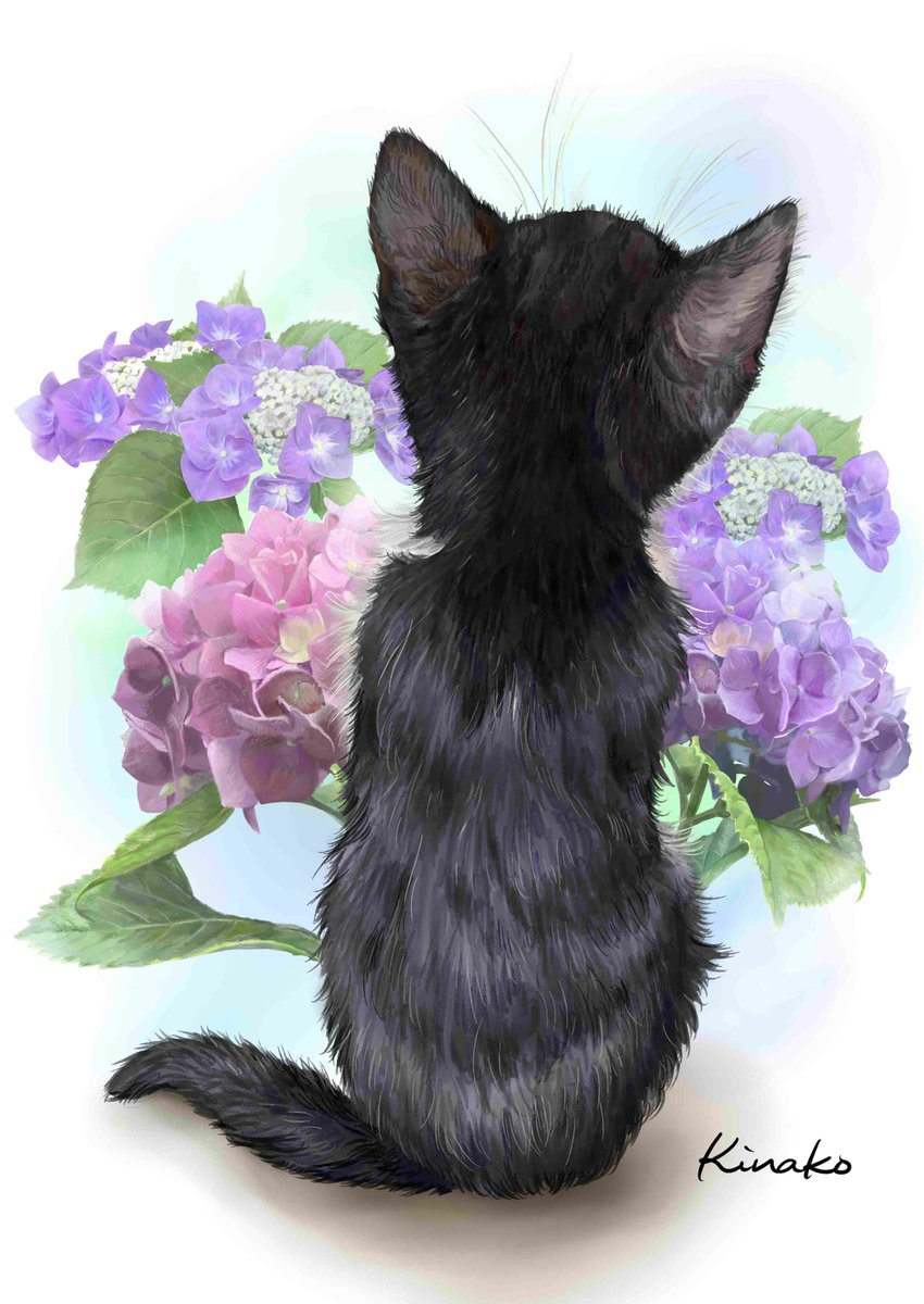 きなこ 猫の絵を描いています さんのツイート 先日描いた たけ ちゃん 紫陽花の花の下で生まれたのだそうです Lemoneko さんから そんな素敵なエピソードに添えて 紫陽花と組み合わせた絵を というご希望をいただきました 先日描いた紫陽花の絵と