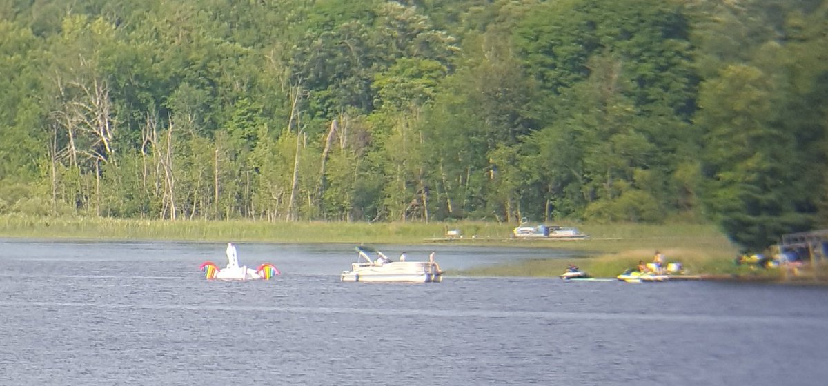 Drama with @elmislandunicorn #2! Theory is that he tried to escape and had to be towed back to shore. #freetheelmislandunicorns!