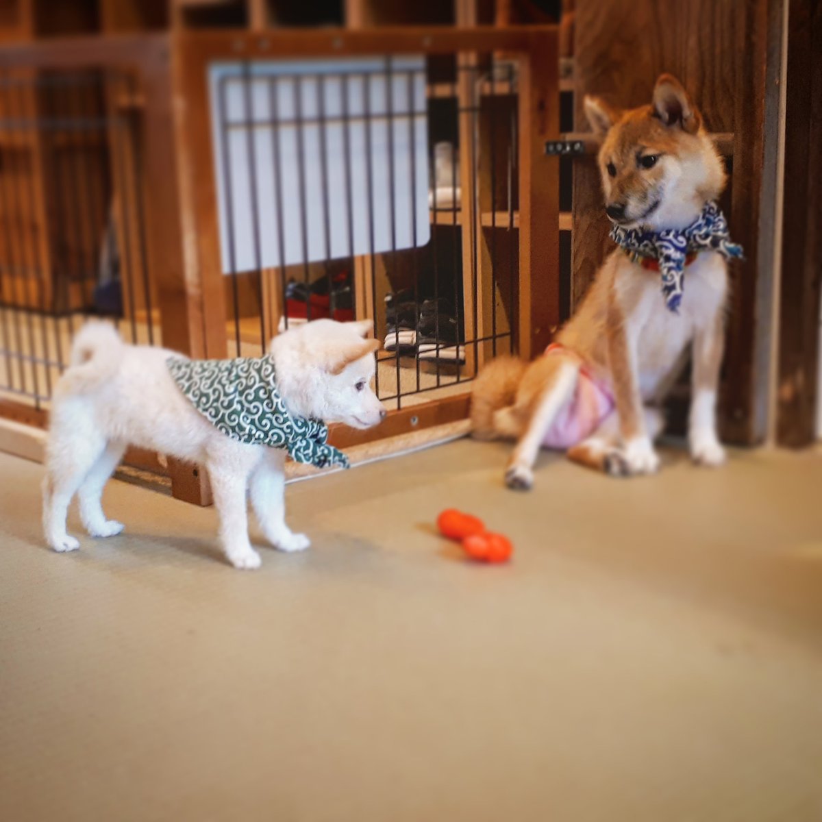 Zephixe Draw Your Mind On Twitter Kawaiiiiiiiiii My