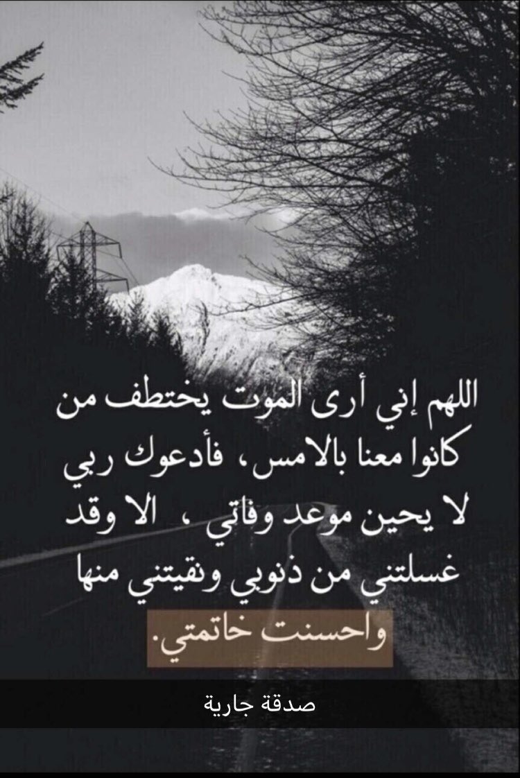 __Allp tweet picture