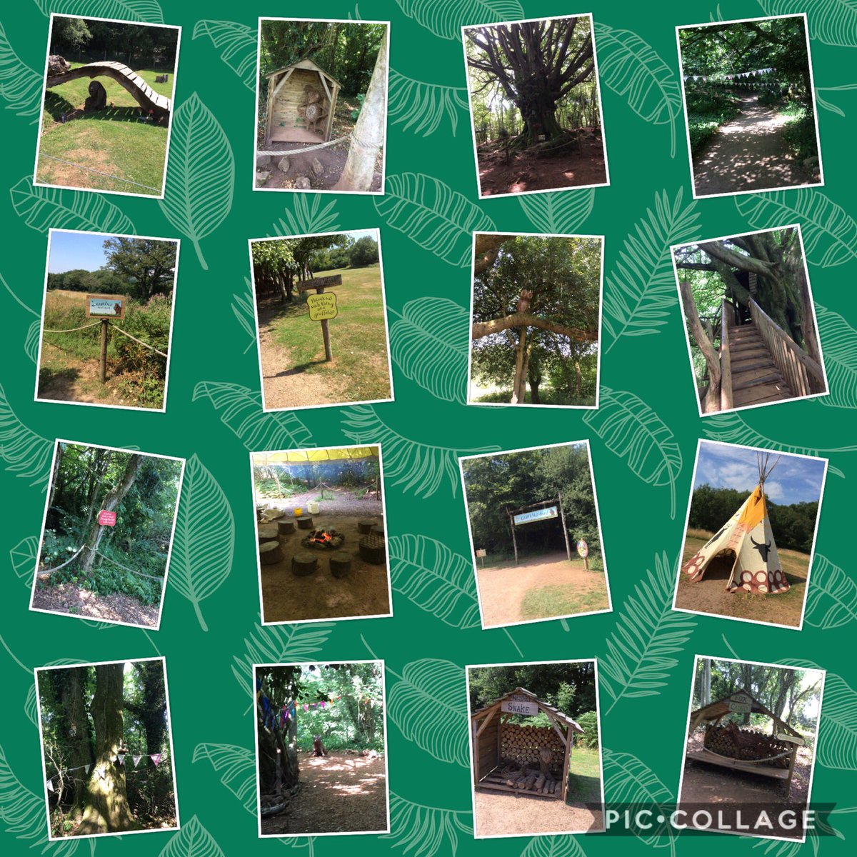 llfiaclass4's tweet photo. We all had a fantastic day yesterday on our school trip. The weather was glorious and everyone had lots of fun! https://t.co/MSQx5foLpz