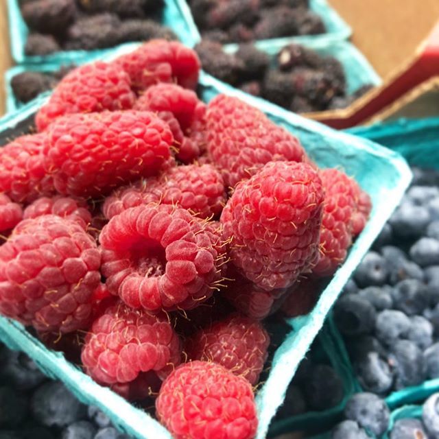 BierCaves's tweet image. A fresh new delivery of local @denisonfarm berries! Can’t wait for our mixed berry French toast, lavender-blueberry doughnuts or blackberry ice cream! • • •
#eatlocal #freshisbest #localvore #berryblast #corvallisoregon #oregongrown ift.tt/2lZctpd