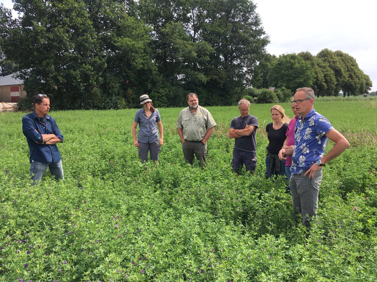 UdoPrins's tweet photo. Zeer leerzaam rondje Flevoland voor boeren uit #BuijtenlandvanRhoon. Inspiratie opdoen bij #Natuurbedrijf-Akkerwaard en @FACFlevoland voor inpassing agrarische natuurmaatregelen in een akkerbouwbedrijf en bij #BVErf voor eerste ervaringen met de effecten van #strokenteelt. https://t.co/85jlpqY7WD