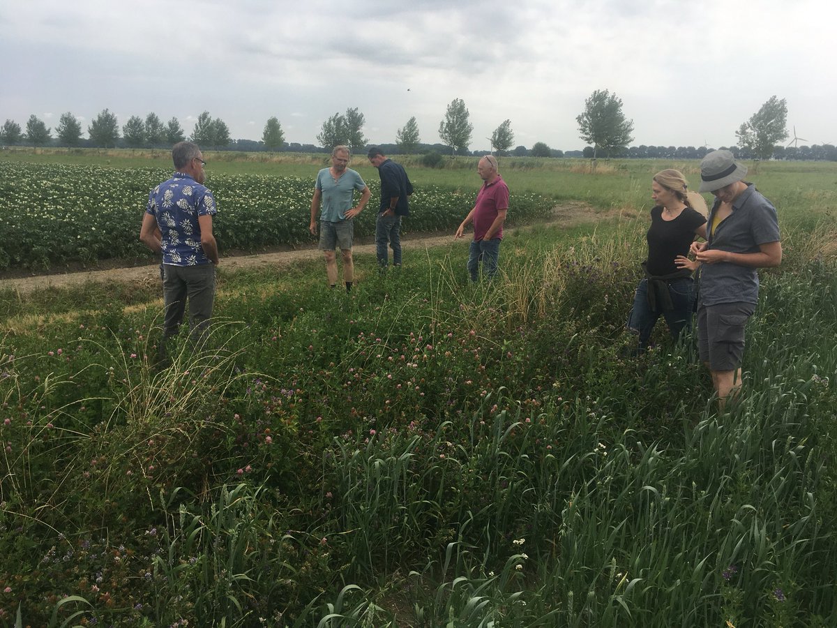 UdoPrins's tweet photo. Zeer leerzaam rondje Flevoland voor boeren uit #BuijtenlandvanRhoon. Inspiratie opdoen bij #Natuurbedrijf-Akkerwaard en @FACFlevoland voor inpassing agrarische natuurmaatregelen in een akkerbouwbedrijf en bij #BVErf voor eerste ervaringen met de effecten van #strokenteelt. https://t.co/85jlpqY7WD