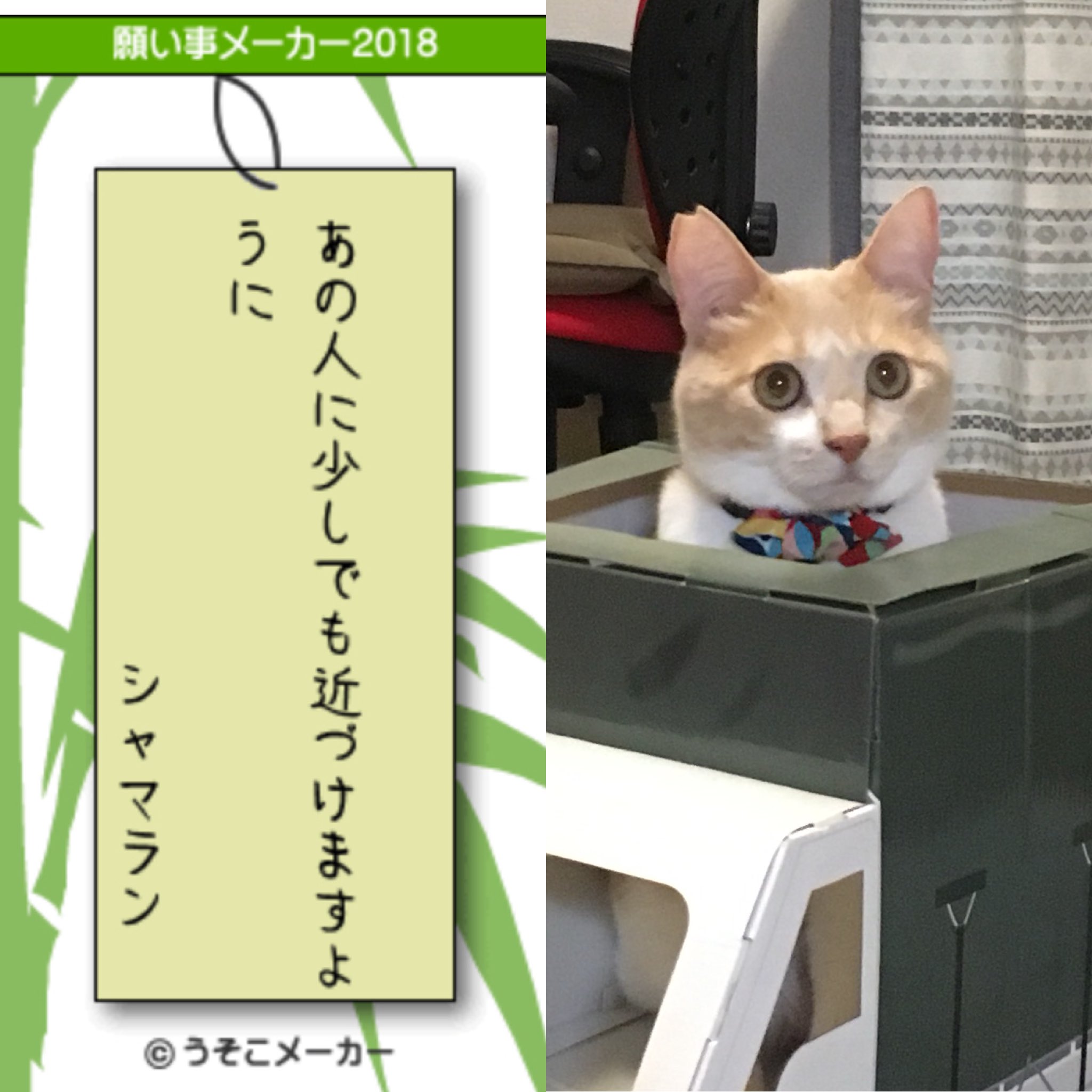 うそこメーカー七夕 Twitter Search Twitter