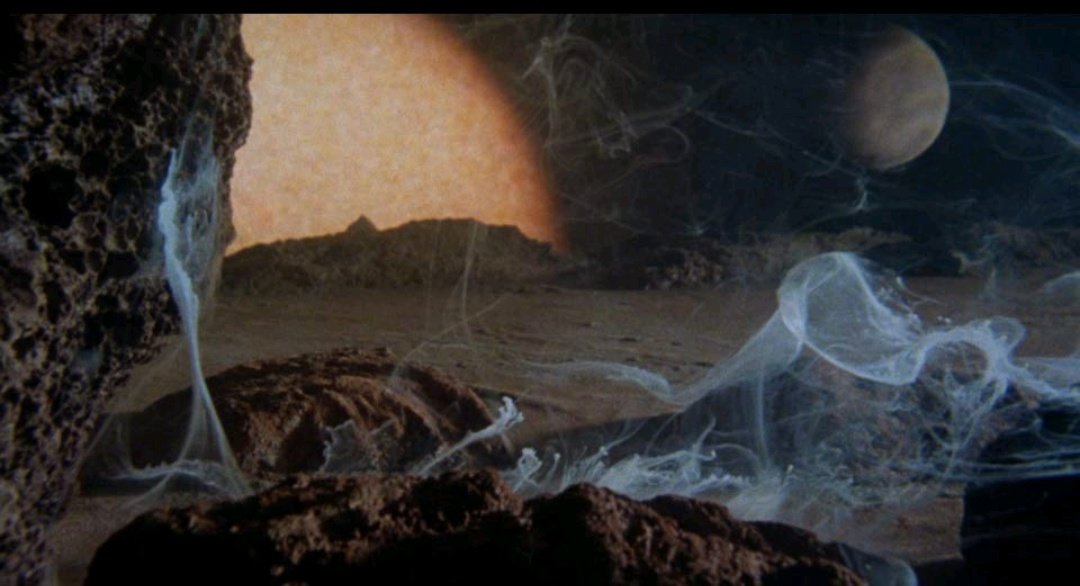 FilmographyFest's tweet photo. Title: Invasion of the Body Snatchers(1978)
Director: Philip Kaufman
Actors: Donald Sutherland, Brooke Adams, Jeff Goldblum, and Veronica Cartwright https://t.co/3CgjOHSryr