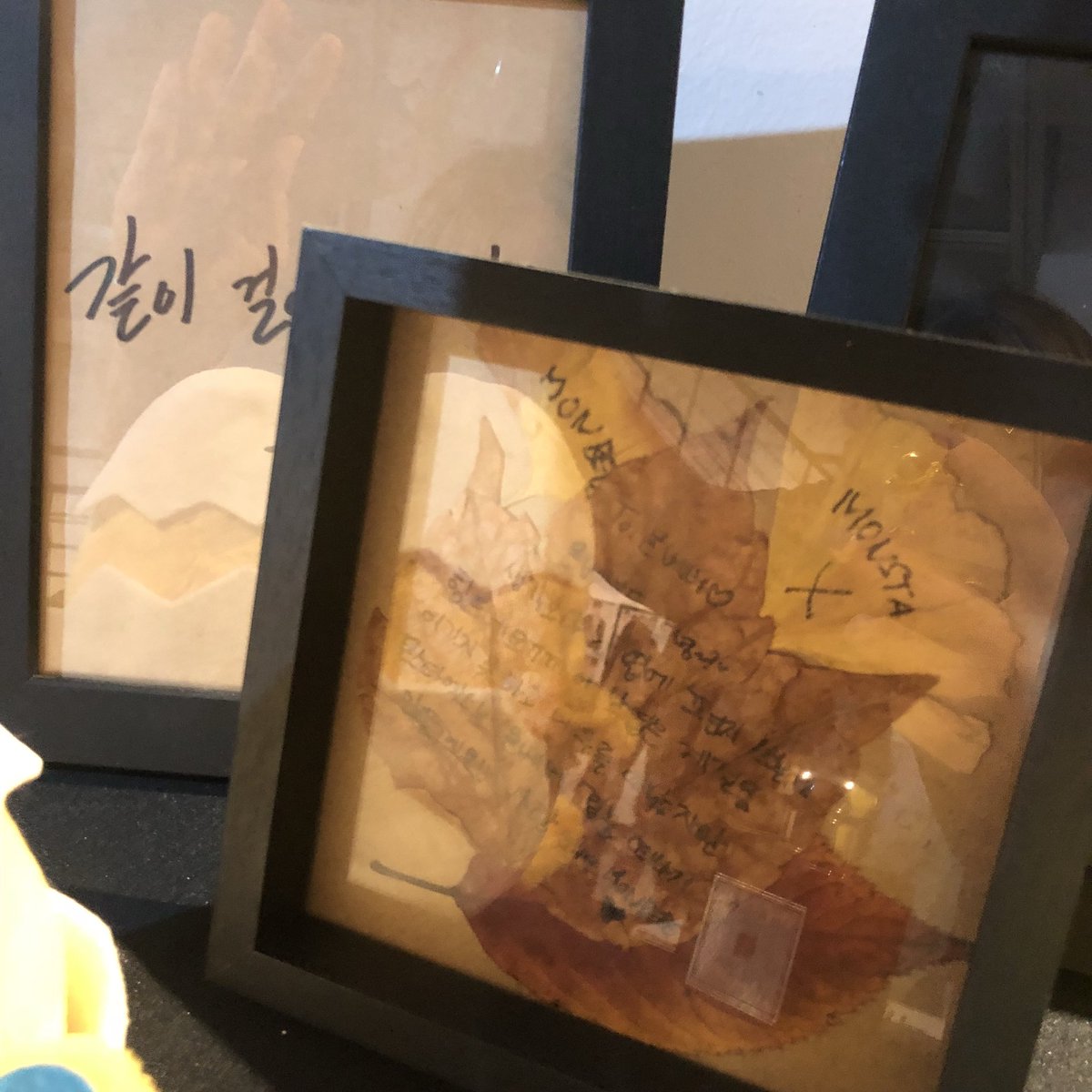 2년 전 전시 작품들 다시 전시해둔 것도 놀라운데, 이 나뭇잎까지 그대로 보관되어있었다는게 충격적일 정도,,,