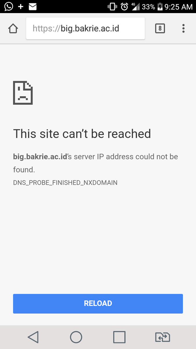 Pinkie Pie 🦄 tweet media