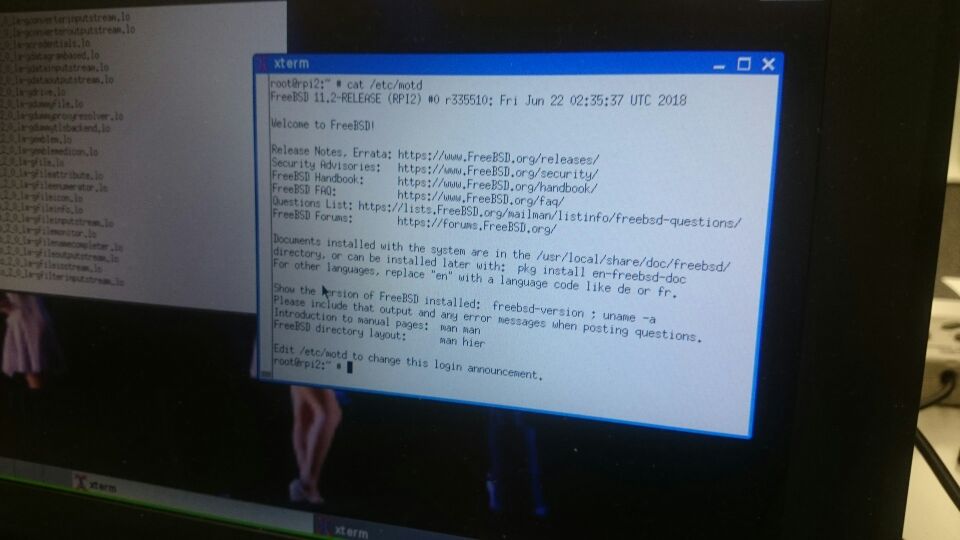 FreeBSD11.2R on RaspberryPI2