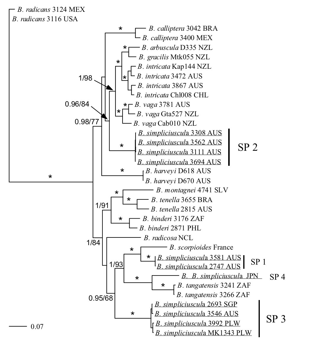 ASPABites's tweet photo. Is the Linnean taxonomic system starting to show its age? Joe Zuccarello argues in the latest #ASPABlog article that while species names are important, the nomenclatural laws are hindering progress in describing species. Can it go on? https://t.co/UqS1bUsfw0 #ASPAB #taxonomy https://t.co/YroR1nZFcc