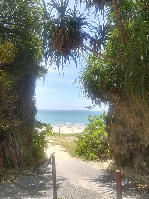 Shenny0417さんのイラストまとめ 3ページ目