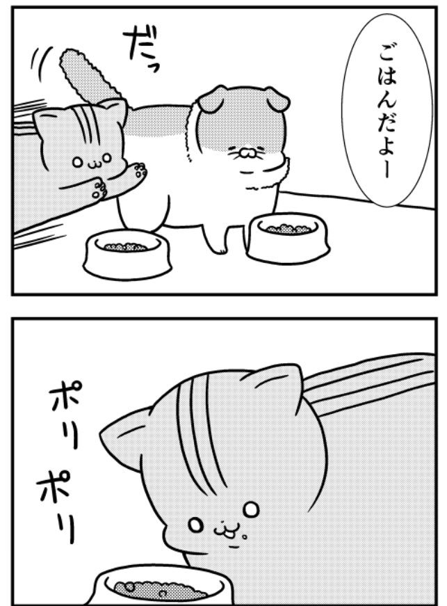 猫のきにゃと、ごとうさん(172) 猫は急にいっぱい食べると吐く  #マイナビニュース 