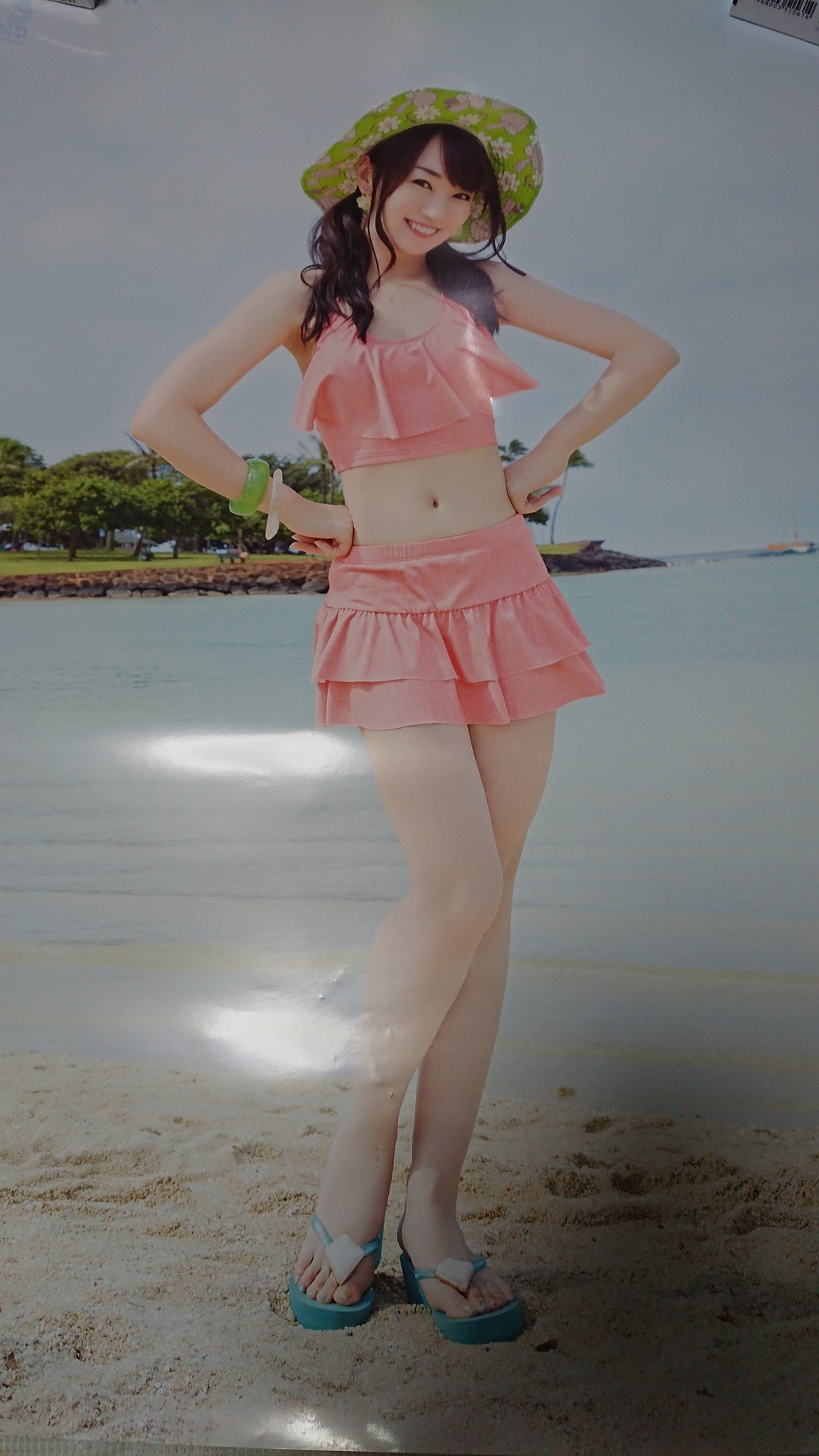 アカツバキ 奈々さんの水着ポスターと水着ポストカードヤバいよ めっちゃエロい お臍がキュート あとポストカード 横向きのやつ のわずかにチラ見えする谷間マジでヤバい 水樹奈々さんもいいけど 水着奈々さんも最高 とても30ピー