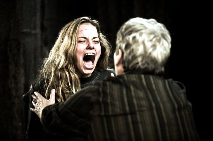 хостел 2 медведя санкт-петербург. хостел два. хостел два. хостел два медведя санкт-петербург. хостел два.