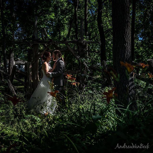 photovanbeek's tweet photo. That day you spent with family in Perth #perthwedding #ottawaweddingphotographer #sonya7riii https://t.co/bjbKmdBjGj https://t.co/BF5DvEaFBe