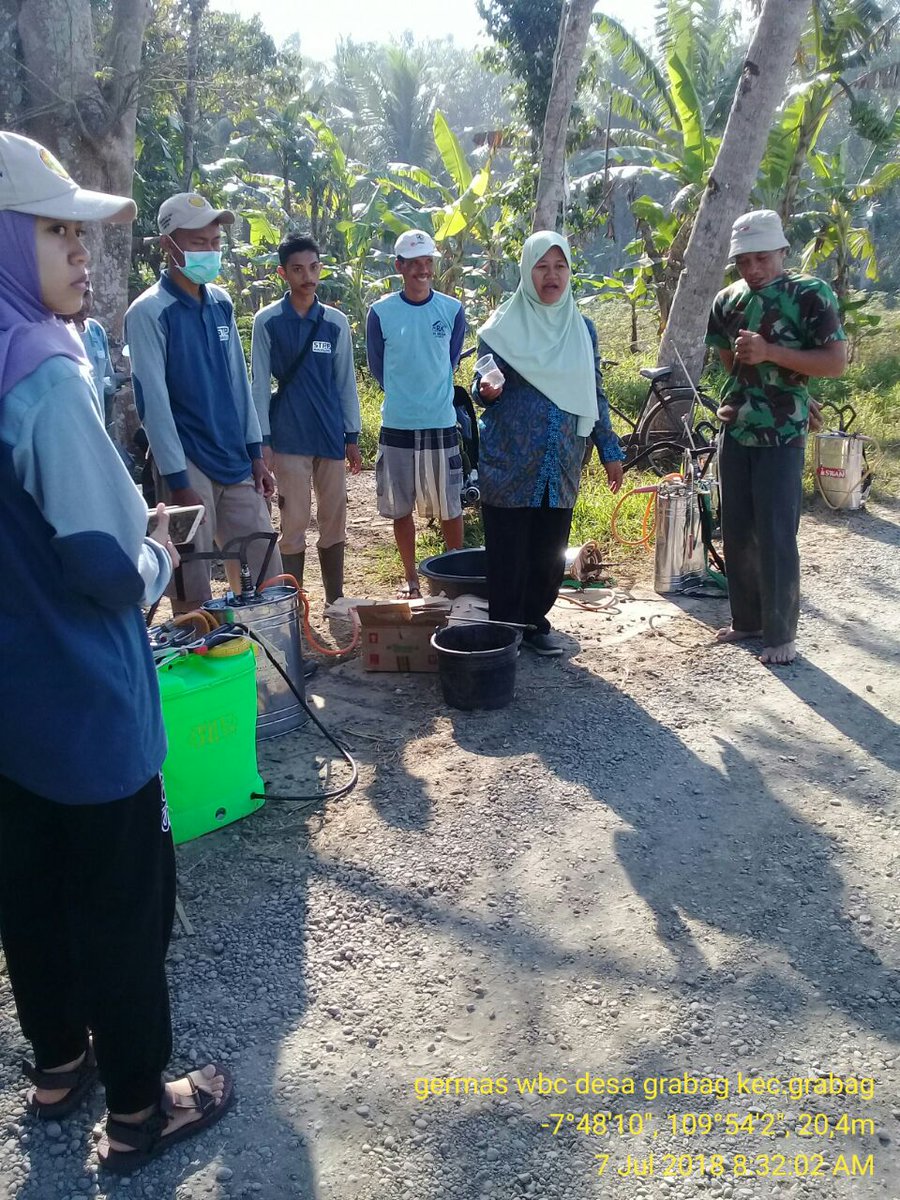 ditlin_tp's tweet photo. Kegiatan Gerdal WBC, 7 juli 2018
Blok Midah,Desa Grabag, Kec. Grabag
Kab. Purworejo, Luas serangan 2 ha.
Var. Ketan, Ciherang
Umur 30-40hst.
Int.serangan. ringan
Luas waspada 25 ha. Pengamatan rutin &amp; tetap waspada. LPHP Temanggung, Jateng
(POPT: Wakhidatun J,SP) @Ditjen_TP_News https://t.co/CPvFGP4bI3