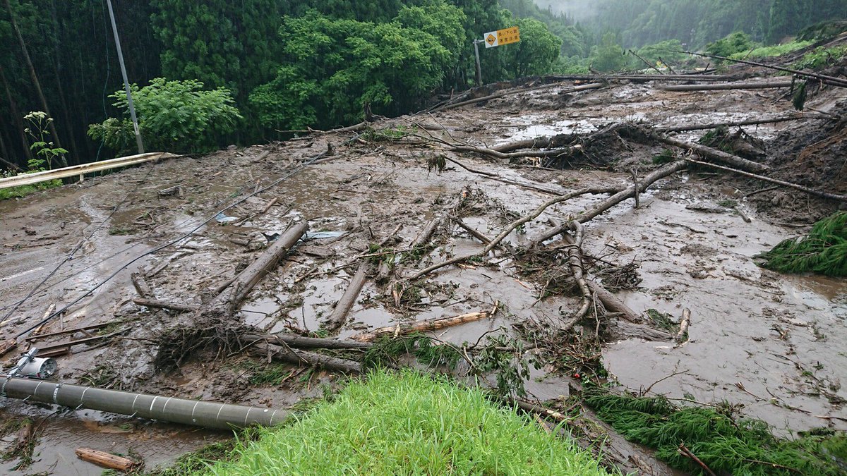 ハリキリ虫 tweet media