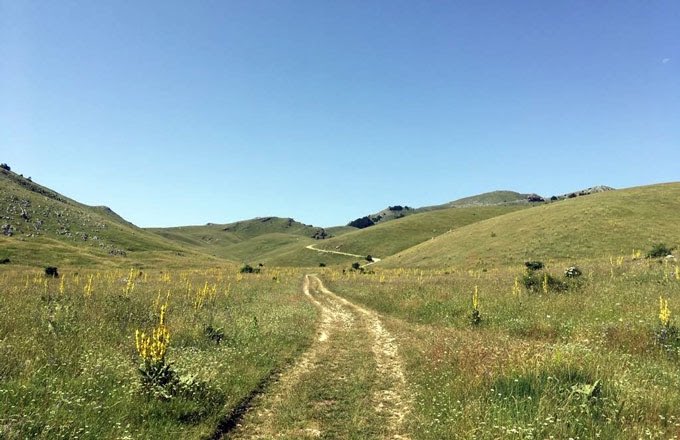 vitaepensiero's tweet image. D'estate le montagne e le strade si riempiono di camminatori. Ma il #cammino non è solo spostarsi. C'è qualcosa di speciale nel camminare che ha a che fare con la percezione della ricchezza del mondo. E @pablo_dors lo racconta su #VPPlus bit.ly/2NtI1jr #6luglio
