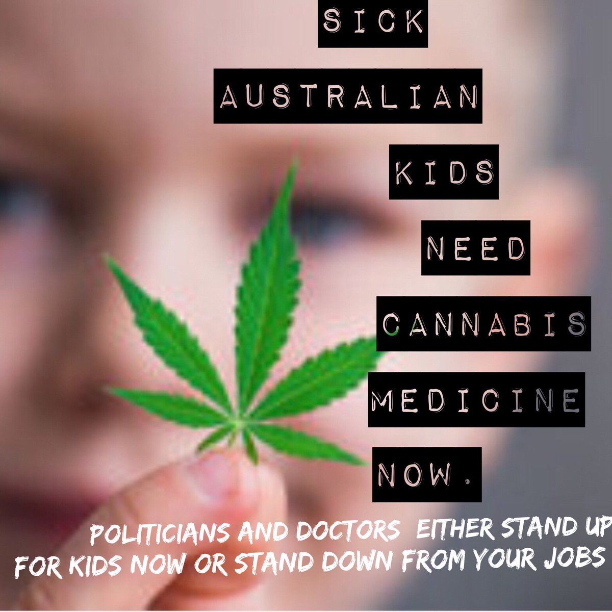 LindaDHoward's tweet photo. #cannabis #medicinalcannabis @AnnastaciaMP 9 yo KAITLYN SPRAGGON IS BLOCKED FROM EVERY SCHOOL &amp; HOSPITAL IN QLD AS CANT GET LEGAL CANNABIS MEDICINE- suffering in pain 6 mths waiting surgery HELP NOW! @DebFrecklington @braddybb @Ros_Bates_MP @Blackwell @couriermail @SquigglyRick https://t.co/c0bcgaYVGK