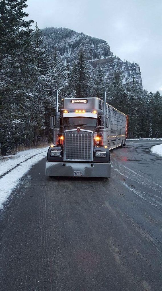 Just Pinned to Awesome Trucks: Custom Kenworth Conventional Bull Hauler ift.tt/2KYeDA6