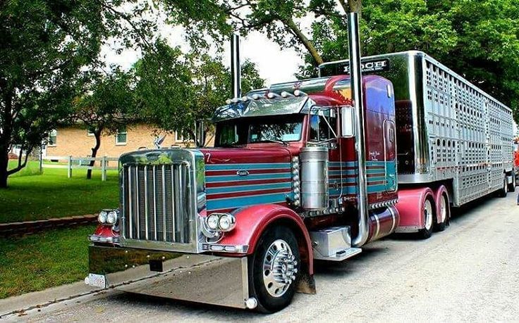 Just Pinned to Awesome Trucks: Peterbilt custom 379 bull hauler ift.tt/2KNbIh1