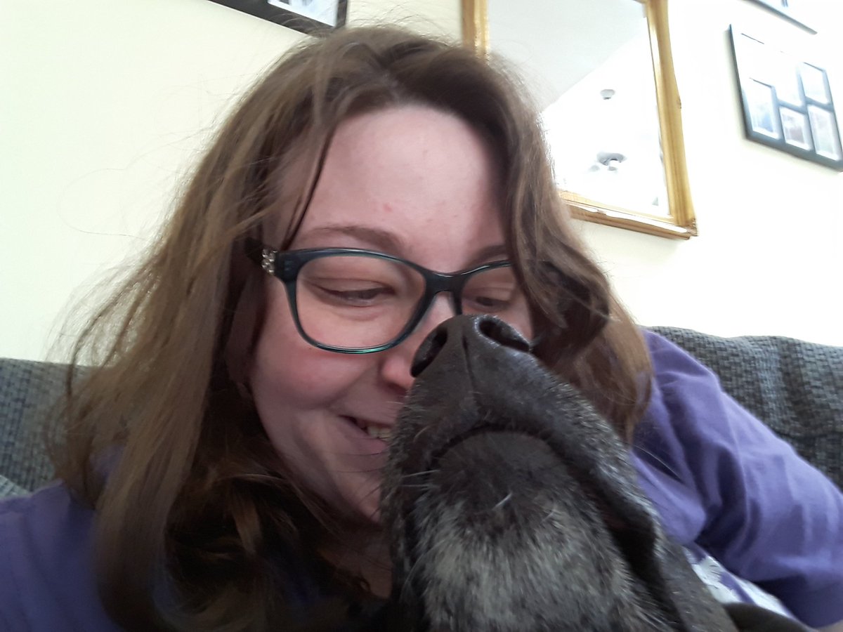 New_Slang06's tweet photo. My name is Renée. I'm fat, queer, and #notyourbinary https://t.co/GXIvGEM4oX