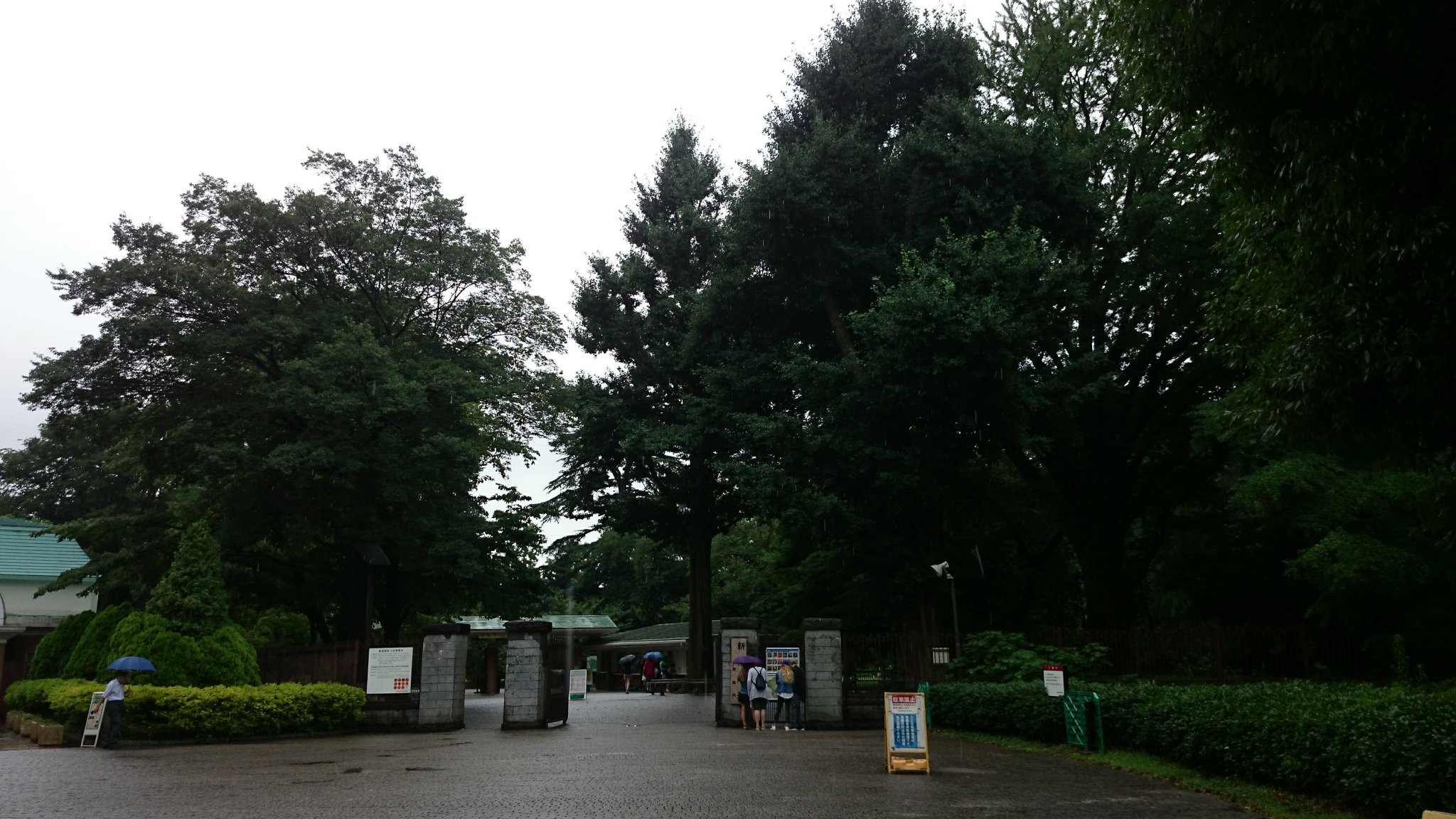 Beboyu 公式 言の葉の庭に出てくる舞台と言われてる都立新宿高校 新宿駅の真横にあるのも驚きだけど新宿御苑の隣にあるとは思ってなかったトレンディ力高すぎてスカウターが爆発しそう そりゃ学校サボって御苑に行けるわ