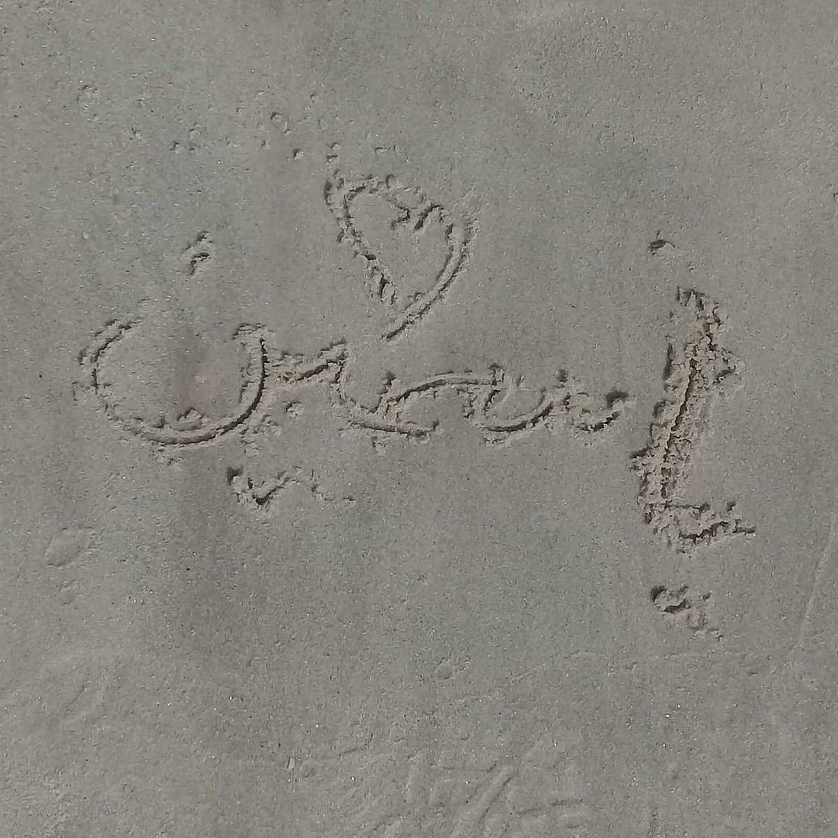 ياسمين ابراهيم قاسم Praq8ubw0fwnati Twitter