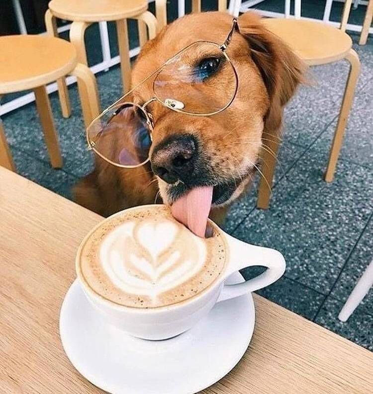 CyaDimples's tweet image. Aaaah Futseg wena😏