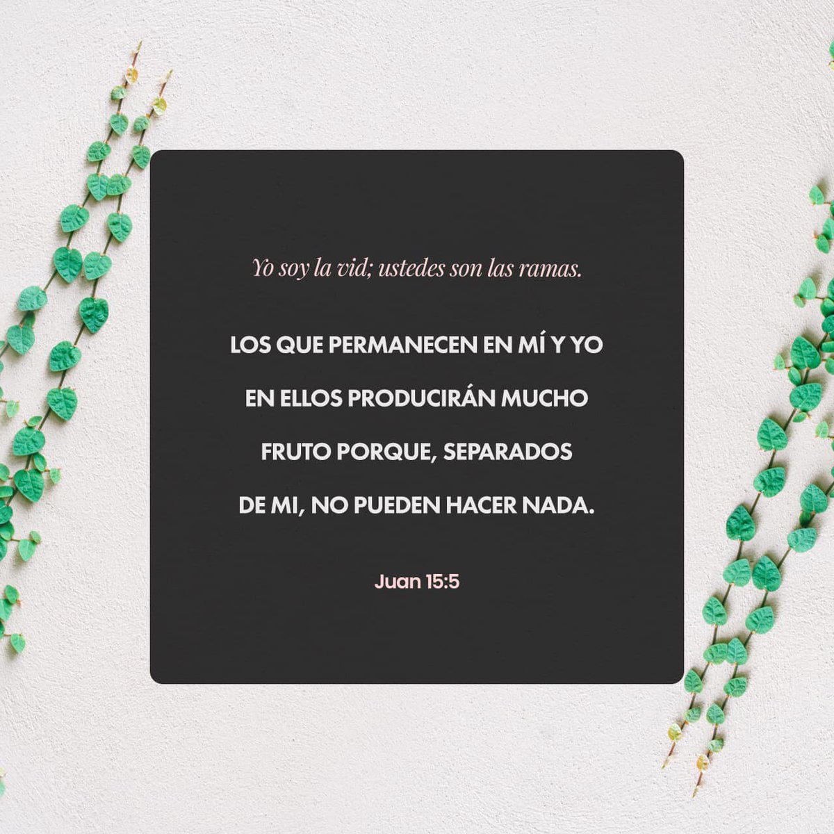 tonyhannagrayeb's tweet image. #permanecer