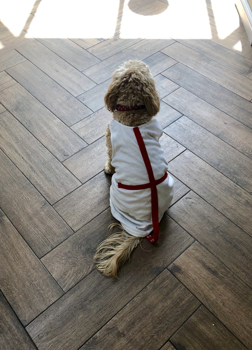 TheHoneyTails's tweet photo. What time do we start? Because I am ready #itscominghome https://t.co/ohVIaxzADp