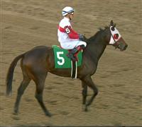 PhippsStableFan's tweet photo. ARLINGTON RACE 6 TODAY (5:16 pm ET):
#StuartJanneyIII's 5yo homebred mare #CHURCHSOCIAL (Pulpit—StyleSquad, by Dynaformer) in $100k Gr3 Modesty Handicap for 3yo+ at 1&amp;1/16mi turf w @JoseValdiviaJr riding. Career 17-2-3-7 $178k https://t.co/4ErLQR8DdB @ssj3pt0 https://t.co/e9gOcfrlDA