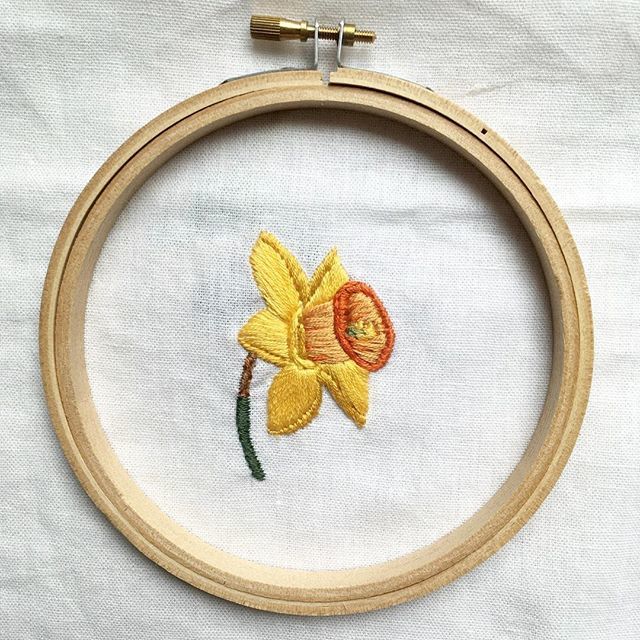 kristengula's tweet photo. 2/200, Daffodil from #200EmbroideredFlowers
•
•
•
•
•
#embroidery #embroideryinstaguild #fiberart #fiberartist #fiberartistsofinstagram #flowerpower🌸 #flower_daily #huffpostarts #buzzfeeddiy #dmcthreads #stlartist #stlauthor #daffodil https://t.co/Hhytyhjy9a https://t.co/PQog69USrQ