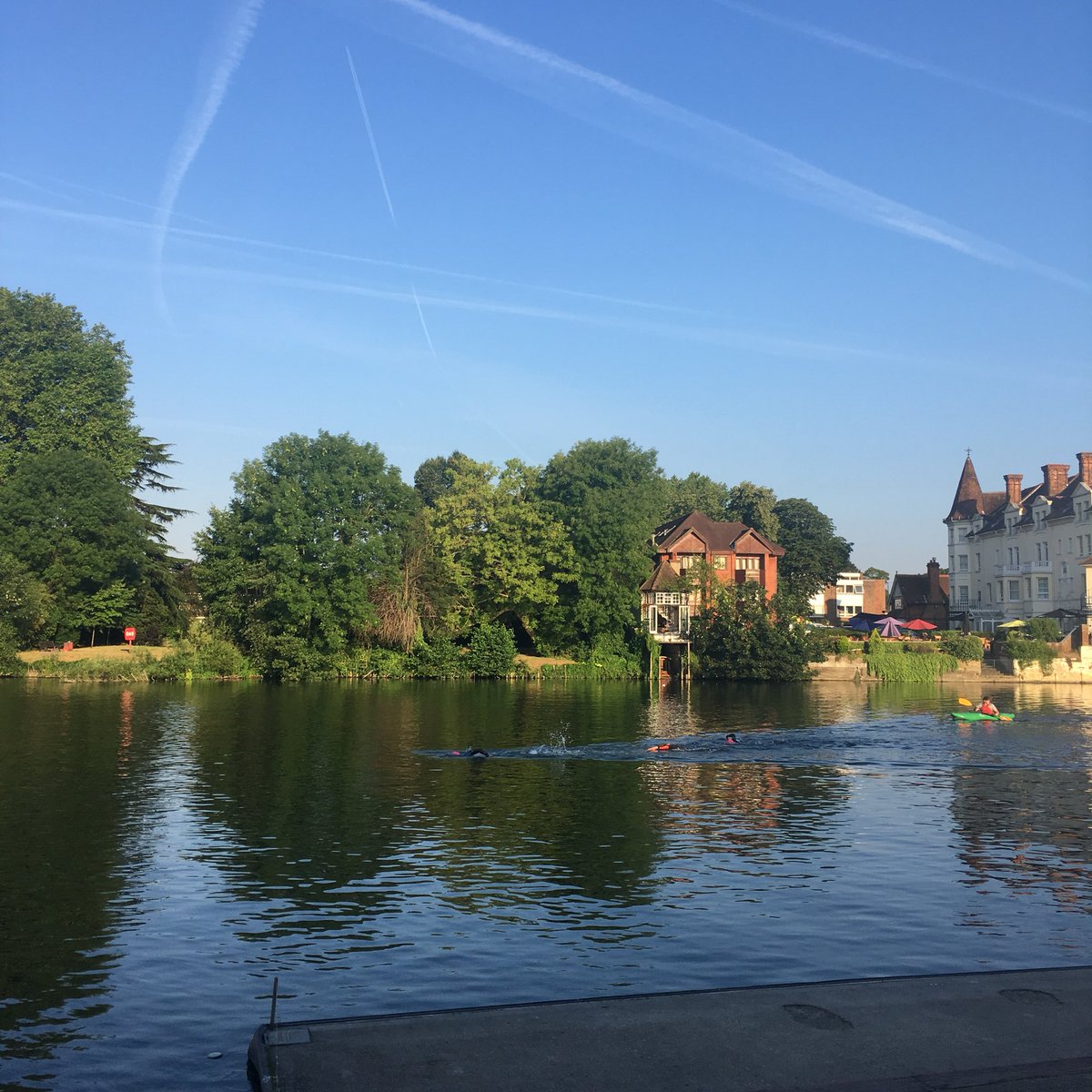 RunningBuggies1's tweet photo. The first swimmers @swim_the_thames what an amazing day for it! https://t.co/oOQNWe081U