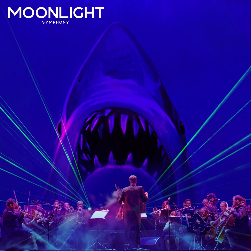 Moonlight Symphony tweet media