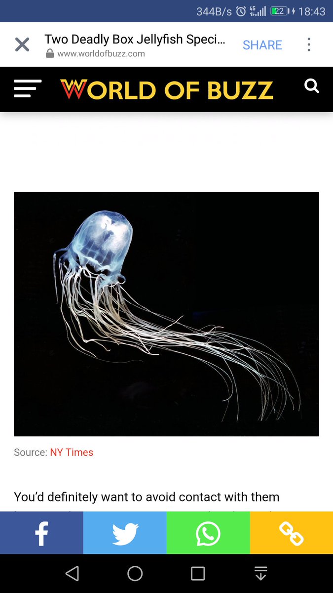 akmysf's tweet photo. ada terbaca artikel marine biologist jumpa Box Jellyfish kat pantai Malaysia tahun lepas. hati hati mandi laut tu. https://t.co/TTw0SW65ZJ