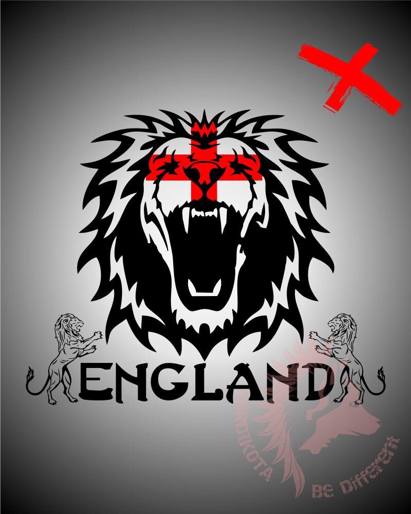 ian_brinksman's tweet photo. Time to roar, England! Come on! #threelions #WorldCup18 🦁🦁🦁 https://t.co/3qJD9YFUkl